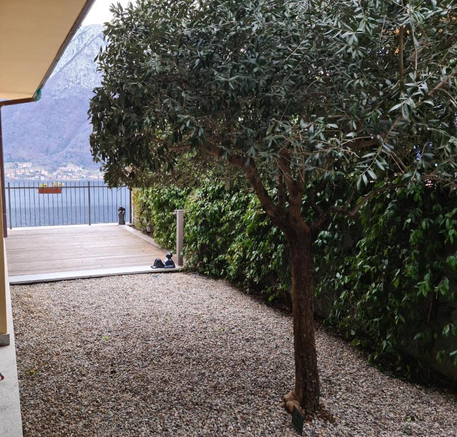 Colonno Panoramica Lago Di Como 외부 사진