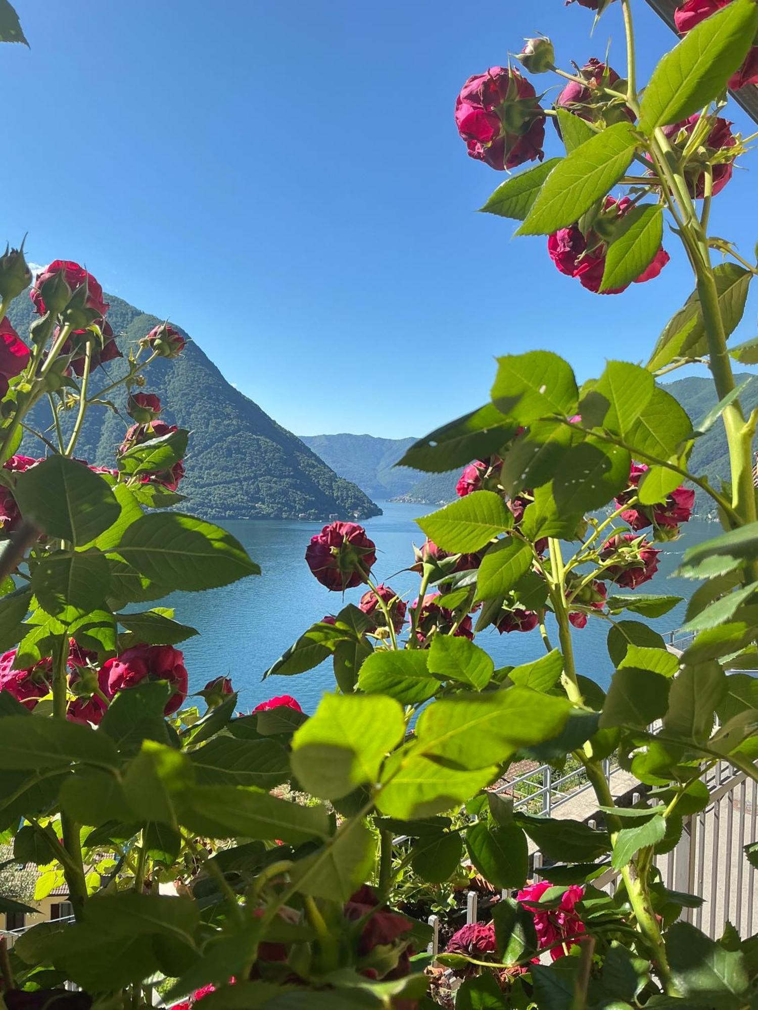 Colonno Panoramica Lago Di Como 외부 사진